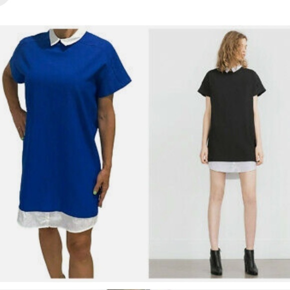 Zara Dresses & Skirts - ZARA Basic Royal Blue Shift Dress With White Chelsea Collar Size Medium